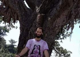 Gallery-4