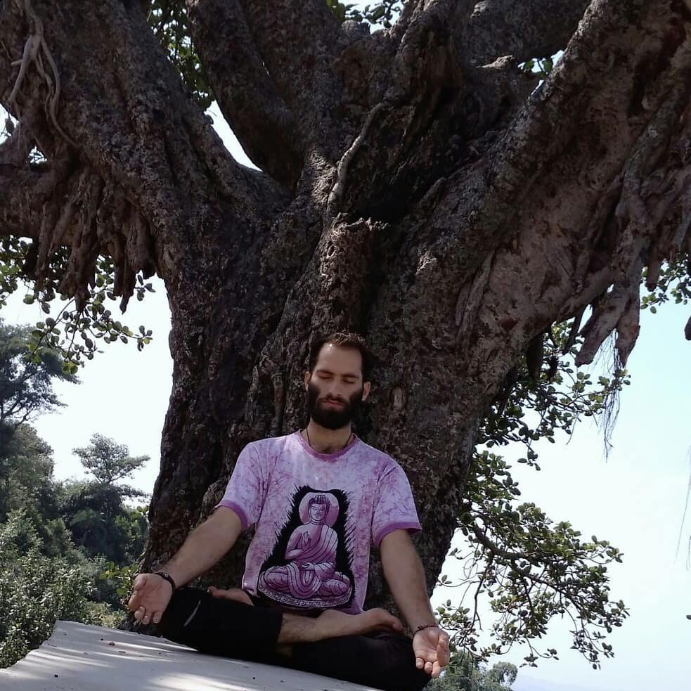 51030741 593508257761777 8365763343830482944 N